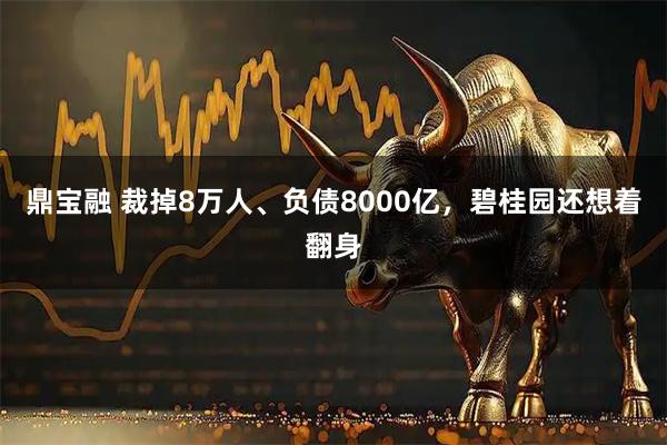 鼎宝融 裁掉8万人、负债8000亿，碧桂园还想着翻身