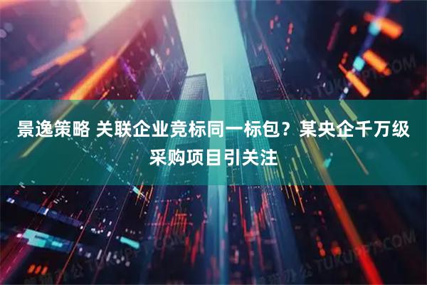 景逸策略 关联企业竞标同一标包？某央企千万级采购项目引关注