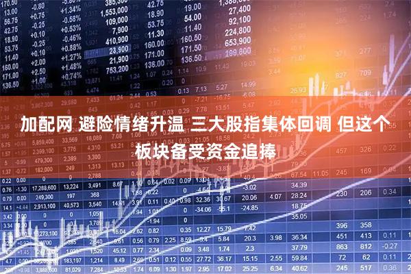 加配网 避险情绪升温 三大股指集体回调 但这个板块备受资金追捧