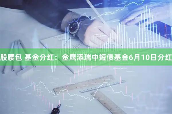 股腰包 基金分红：金鹰添瑞中短债基金6月10日分红