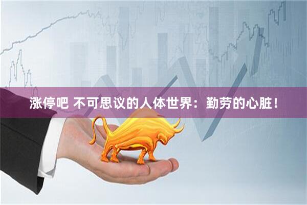 涨停吧 不可思议的人体世界：勤劳的心脏！