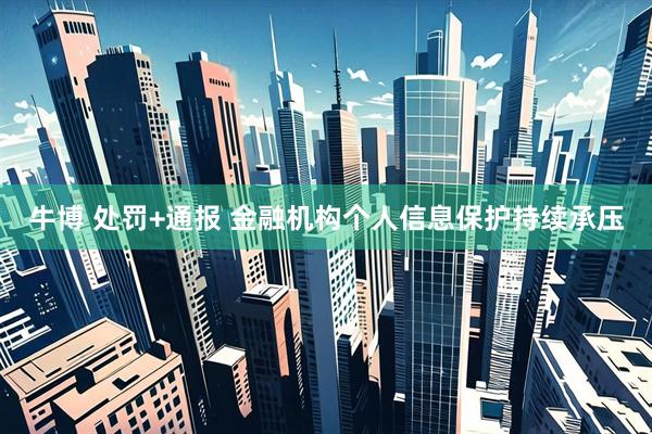 牛博 处罚+通报 金融机构个人信息保护持续承压
