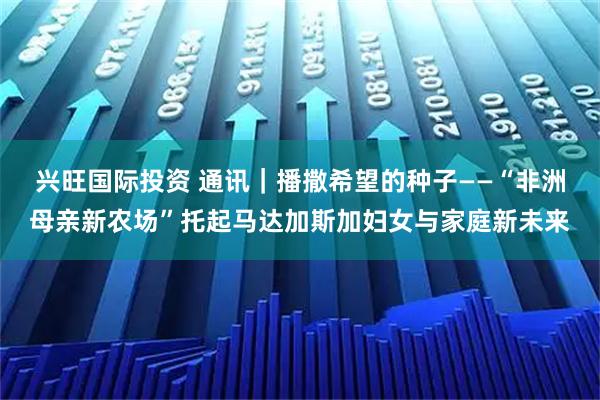 兴旺国际投资 通讯｜播撒希望的种子——“非洲母亲新农场”托起马达加斯加妇女与家庭新未来