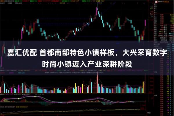 嘉汇优配 首都南部特色小镇样板，大兴采育数字时尚小镇迈入产业深耕阶段